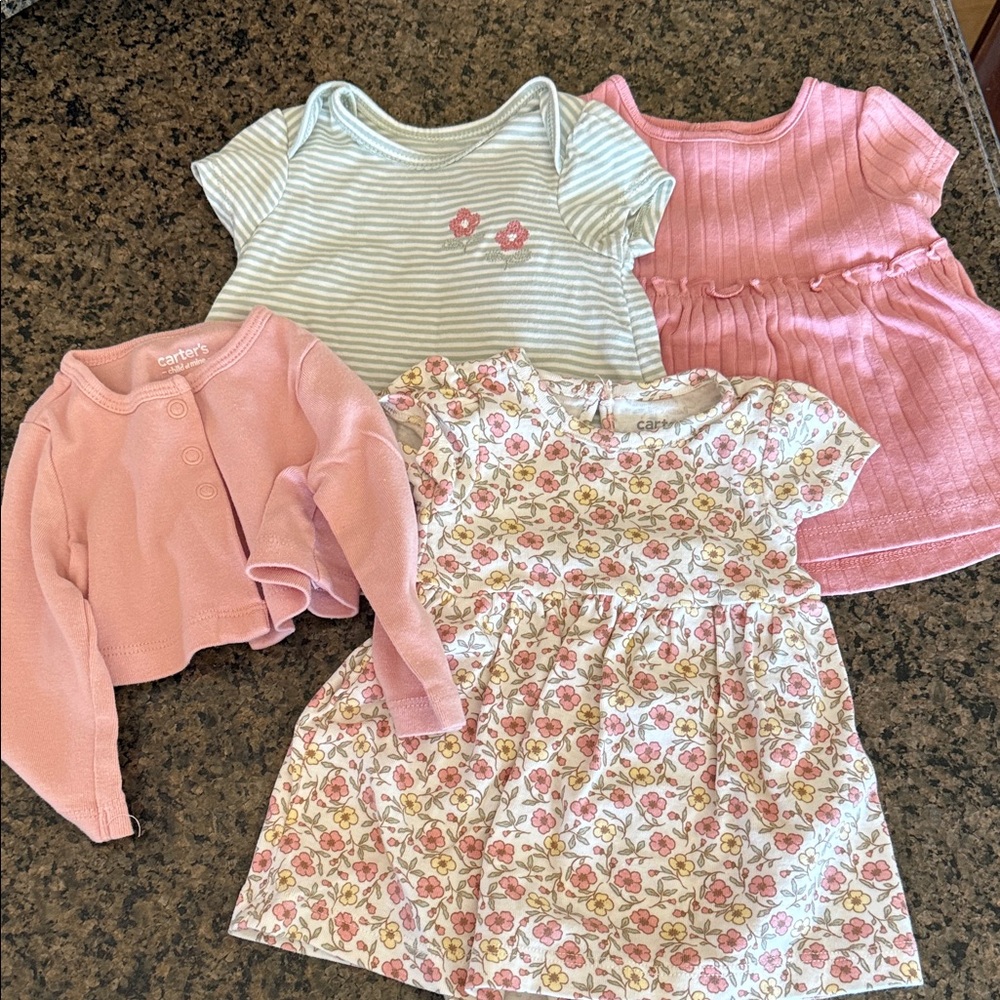 Carter's Pink and Cream Floral 4-Piece Set